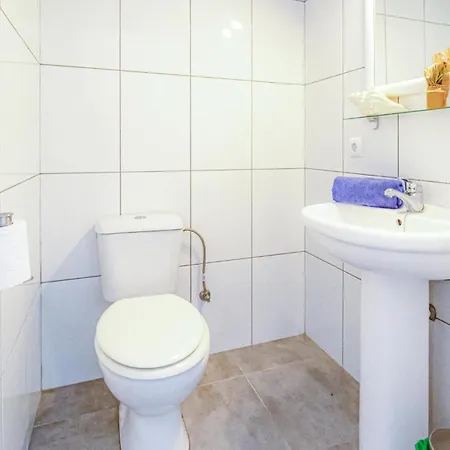 Pet Friendly In Apartmán